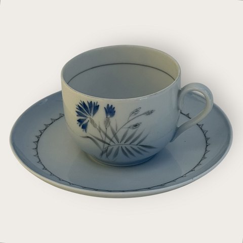item no: 644400