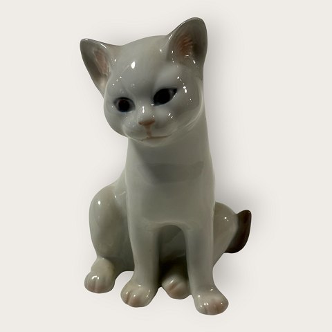 item no: 649408
