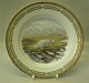 Flora Danica Danish Porcelain Fauna Danica239-3549 Polar Fox Dinner plate 25.5 cm Canis Lagopus  "Arctic Fox" Game Plates