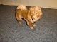 B&G figur nr 2090 en Chow Chow hund i brun Højde 16 cm i første sortering 5000 m2 udstilling