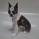 B&G FigurineB&G 2330 Boston Terrier 19 cm