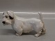 B&G FigurineB&G 2011 Sealyham Terrier 10 x 17 cm