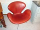 2 svanestole tegnet af Arne jacobsen med indisk rødt skind fra 1963 perfekt stand 5000 m2 udstilling