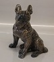 Rare Royal Copenhagen figurine 0956 RC French Bulldog Designed by Knud Kyhn in 1908 Color: 1708 17.5 x 14 cm