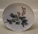 Kongelig Danske dekorative platter før 1923 