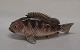 Dahl Jensen figur1384 Rødfisk lille 13 cm lang
