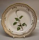 Flora Danica Danish Porcelain20-3553-3535 "Pyrola secunda L." from 1965 Stand for Large Round Fruit basket/Pierced Dinner Plate New #: 637 Size: 9 ¾"