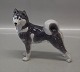 Royal Copenhagen figurine 0353 RC Husky/Spitz 1244 0038 Greenland Dog 14 x 16 cm