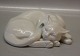 B&G Figurine B&G 1834 Cat curled 20 cm