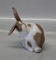 Royal Copenhagen figurine B&G 1833 Loop eared Rabbit 11 cm Dahl Jensen