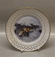 B&G 11026-625 "Djur i natur" Anmals in the nature FOX on the ice. Orininal drawing by Harald Wiberg 2 cm