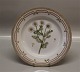 Kongelig Dansk Porcelæn Flora Danica 20-3549 Middagstallerken 25 cm, Chrysanthemum inodarum L  1975 (624)