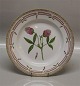 Flora Danica Danish Porcelain 20-3549 Traditional Dinner Plate: Trifolium alpestre Müll . New # 624 10" (From the year 1969)