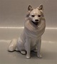 Royal Copenhagen figurine 0977 RC White Spitz - Siberian Husky ? AP/AN 18 x 17 cm