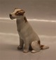 Kongelig Dansk 1558-1453 Kgl. Siddende Terrier 21,5 x 12 cm  Knud Møller 1913, brun version