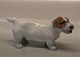 Royal Copenhagen dog figurine 3085- 1453 RC Sealyham standing 6.5 x 13 cm Th. Madsen Brown version