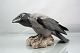 B&G figur1714Krage