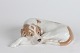 Royal Copenhagen Lauritz JensenPointer hund nr. 1634