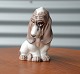 Basset hound.Dahl Jensen.