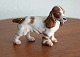 Cockerspaniel2172B&G figur hund
