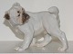Rare Bing & Grondahl figurineEnglish Bulldog