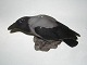Large Bing & Grondahl FigurineCrowDec. Number 1714Length 30.5 cm.