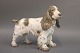 B&G figur nr. 2095 Cocker Spaniel. Design Laurtiz Jensen.5000m2 udstilling.