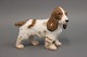B&G porcelænsfigur,Cocker Spaniel, nr. 2172.5000m2 udstilling.