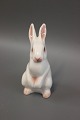 B&G porcelænsfigur,hvid kanin, nr. 2443.5000m2 udstilling.
