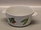 Dan-Ild 50  Fruit and Vegetables Pan with ears 7 x 19 cm