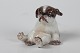Dahl JensenHundehvalp nr. 1134