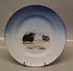 025-325 dinner plates Greenland B&G Porcelain Kalaallit Nunaanni pingortitaq  - Greenlandic Scenery Collection