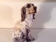Dahl JensenEnglish Setter# 1186* 1800 DKK
