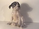 Royal CopenhagenPointer Puppy# 259* 550 DKK