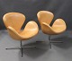 Et par Svanestole, model 3320, i vegetal læder med patina af Arne Jacobsen og Fritz Hansen.5000m2 udstilling.