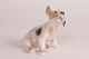 Bing & GrøndahlDahl JensenSealyham hundehvalpNr. 2028