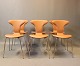 Et sæt af 6 Munkegaard stole i cognac farvet klassisk læder af Arne Jacobsen og HOWE.5000m2 udstilling.