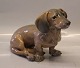 Kongelig Dansk 0850 Kgl. Gravhund EN  22 x 30 cm 1907 Farvekode 1238