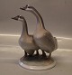 Kongelig Dansk 2068 Kgl. Gæs 19 x 21 cm Peter Herold 1919