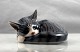 RC figur1025 - 422Sovende kat