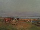 Niels Christiansen: Two cows on the beach bed.1200,-DKK