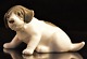 RC figur1311Pointer hvalp