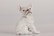 Bing & GrøndahlDahl JensenHundehvalpBulldog nr. 1983