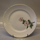 B&G 026 Luncheon Plate 21.5 cm (326) Victor Hugo white porcelain - wild rose with gold rim