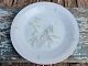 Bing & GrondahlVenusDinner plate#25* 100 DKK