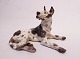 Dahl Jensen porcelænsfigur, liggende Grand Danois, nr.: 1112.5000m2 udstilling.