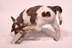 Bing og Grøndahl porcelænsfigur, stående ko, nr.: 1826 af Knud Kyhn.5000m2 udstilling.