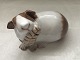 Bing & GrondahlGuinea pig#2480*650DKK