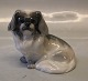 Sjælden Hund Kongelig Dansk 1772 Kgl. Pekingeser 12 x 12 cm 1452 Variation Peter Herold