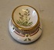 Kongelig Dansk Porcelæn Flora Danica 3625-20  Brevvægt / Saltkar Salt Cellar New #368 : 4 x 11  cm  "Gardamine faeroeensis Habn (1967) SX
